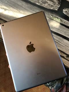 iPad