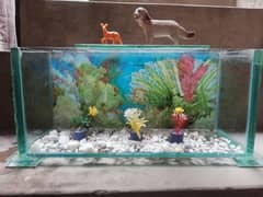 Aquarium