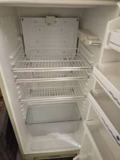 Fridge/Refrigerator