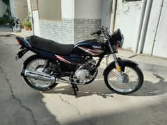 YAMAHA YBR 125z for sale 2018