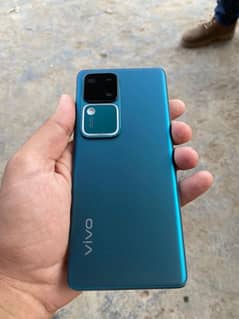 vivo