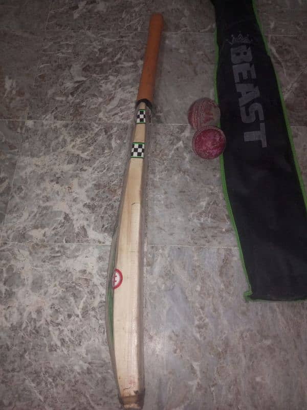 Grey nicolls Hard ball bat English willow wood 4