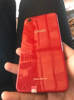 vivo