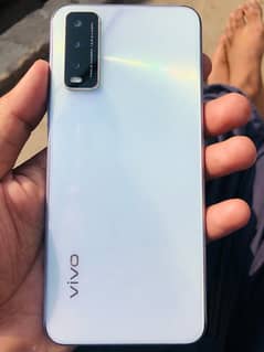 vivo