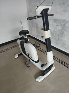 Horizon original exercise bike