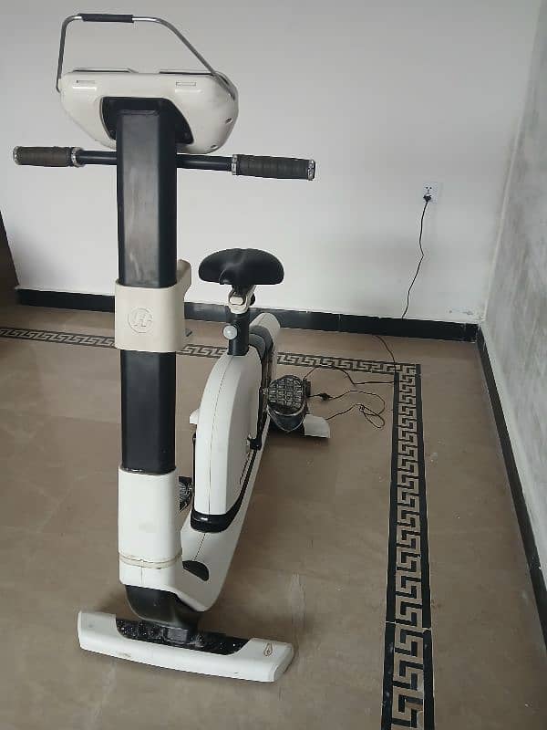 Horizon original exercise bike 1