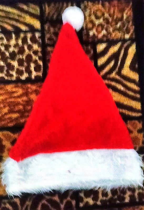 Christmas Cap 0