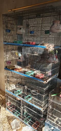 birds cage for sale