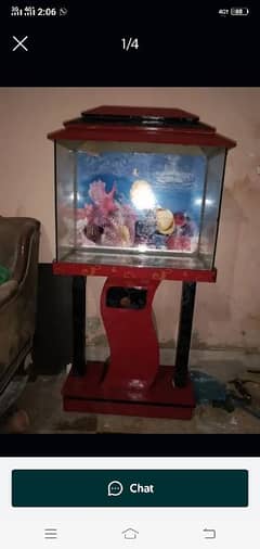 fish aquarium complete with 3 angel fish and 5 shark