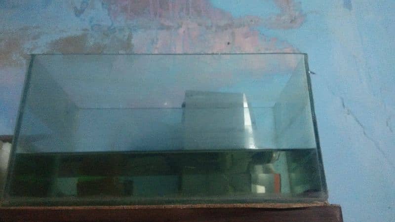 fish aquarium complete with 3 angel fish and 5 shark 4