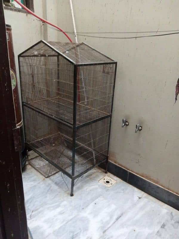 Bird Cage 0