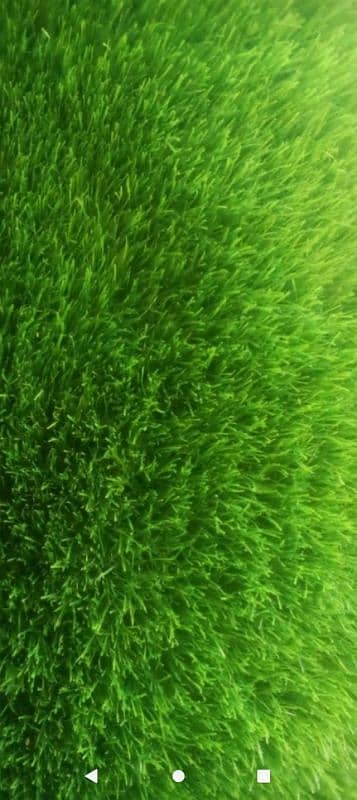 artificial grass 3