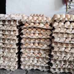 440 Pure Organic(Desi) Egg 0327 1061285