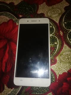 vivo y55A bilkul new candishan ma hy 4gb ram 64 gb