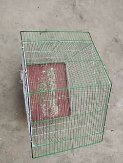 parrots cage