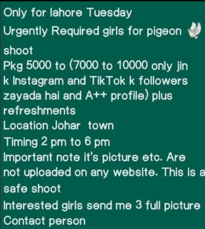 Girls Required for Pigeon Shoot 0