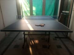 Table Tennis with racket pair