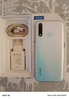 Vivo