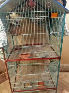 parrots cages