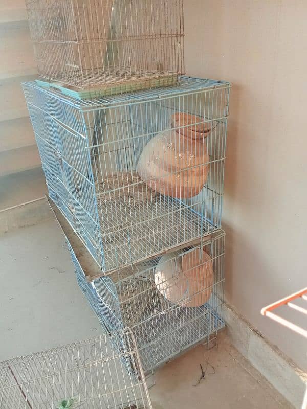 parrots cages 2