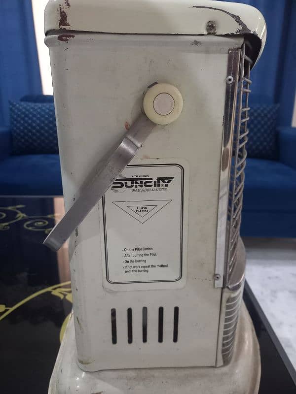 sonex gas heater 2