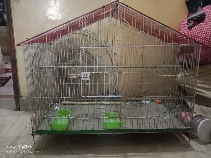 big birds cage 0