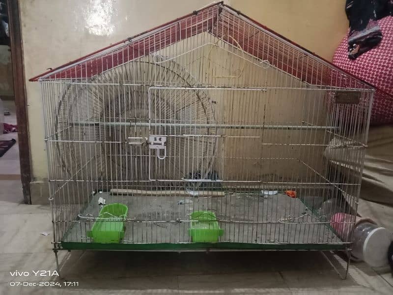 big birds cage 1