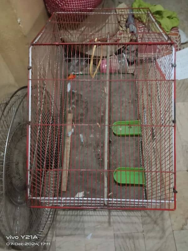 big birds cage 2