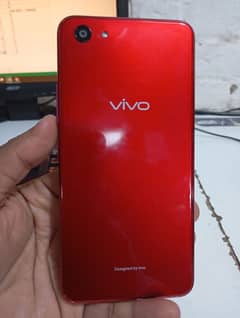 vivo