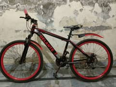 Mountain Bicycle