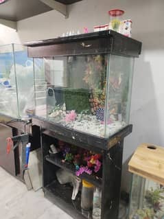 aquarium