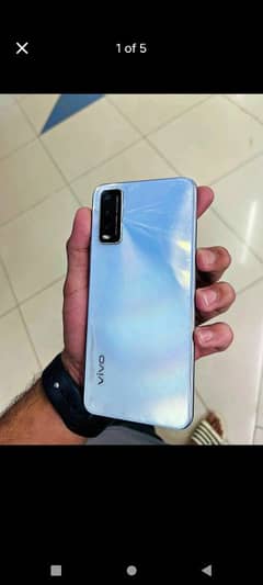 vivo