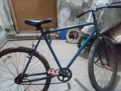 phonix bicycle used but good condition