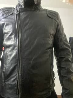 Gipsy International Fashion Leather Jacket Mens