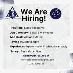 Marketing Executive