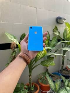 iPhone Xr Dual Sim PTA Approved