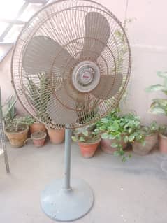 Pedestal fan / stand fan royal