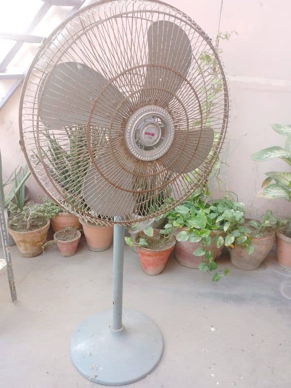 Pedestal fan / stand fan royal 0