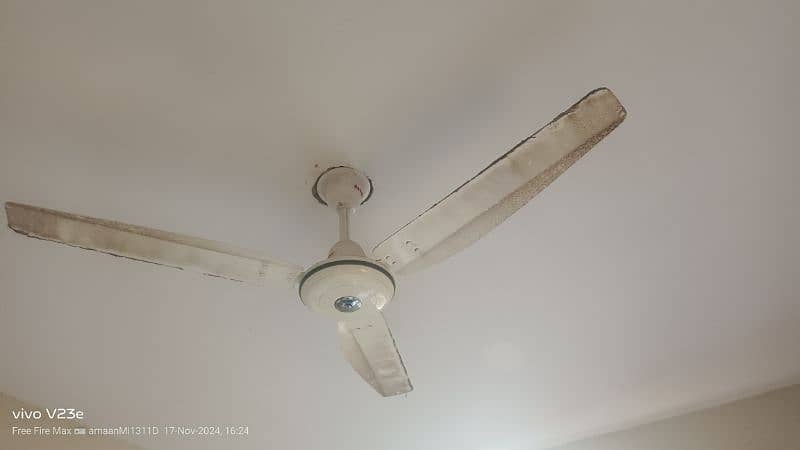 pak fan large size and royal fan best conditions mai he no faults. 4