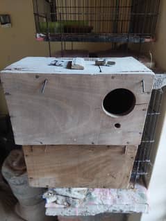 All Birds, Confirm Breeder Pairs, Kikar Boxes, Iron Cage