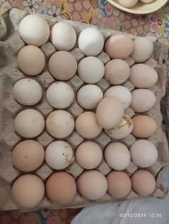 Desi Eggs