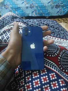 iphone 12 mini