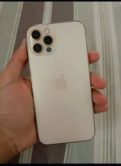 Iphone 12 pro