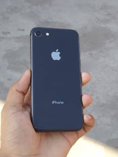 iPhone 8 pta