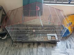 large parrot cage