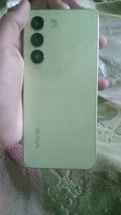 VIVO