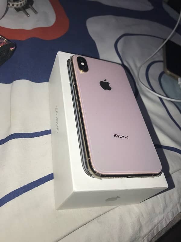 Iphone Xs Factory Unlocked 256 0