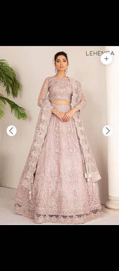 embroided net lehenga