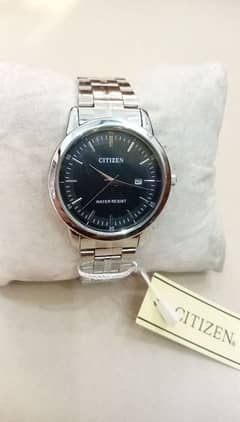 citizen steel watch