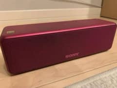 Sony SRS-HG1 Bluetooth Speaker